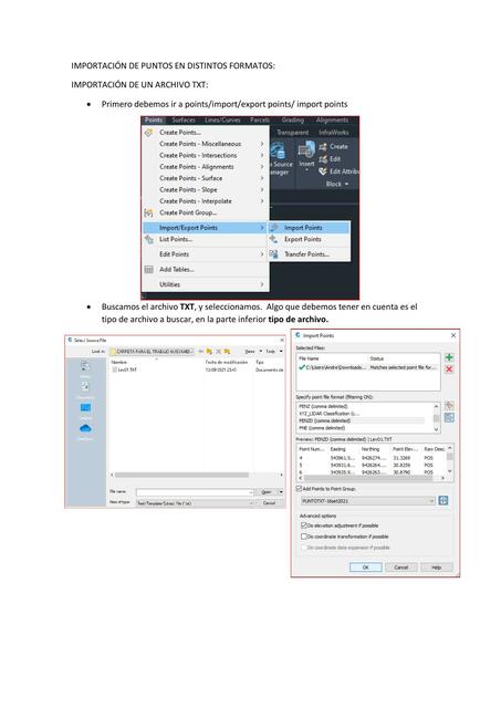 Importación de Puntos en Distintos Formatos 