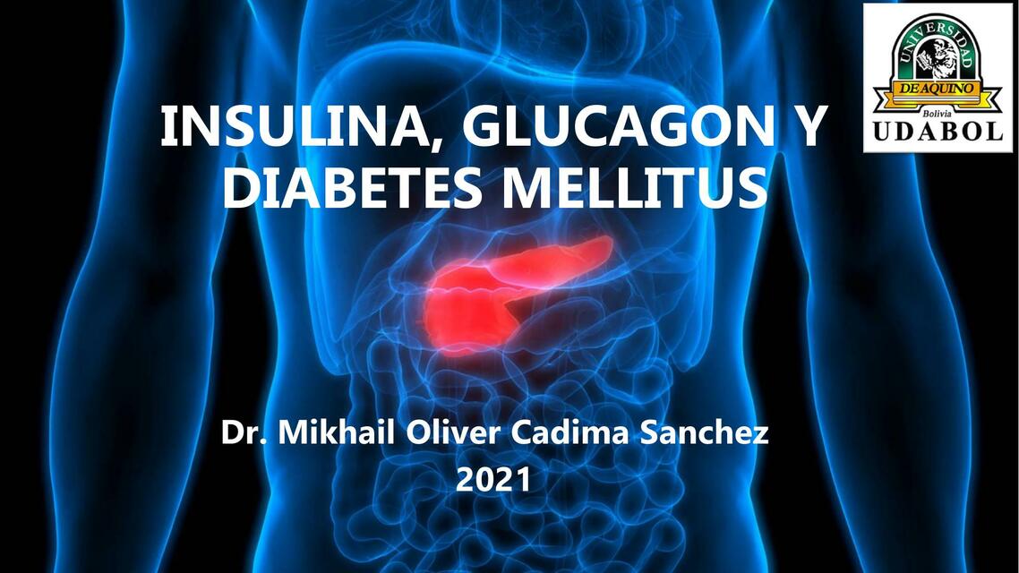 Insulina, Glucagon y Diabetes Mellitus JPaul HAsto uDocz
