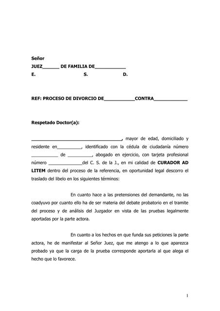 Contestación Demanda por el Curador AD LITEM 