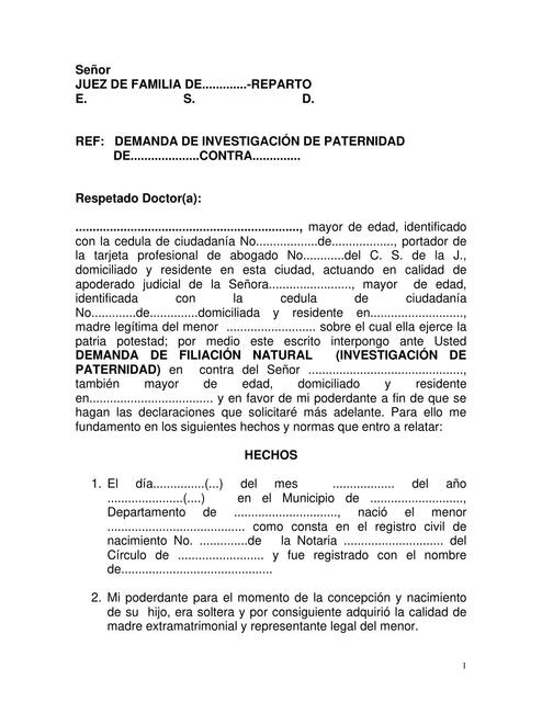 Demanda de Investigación de Paternidad 