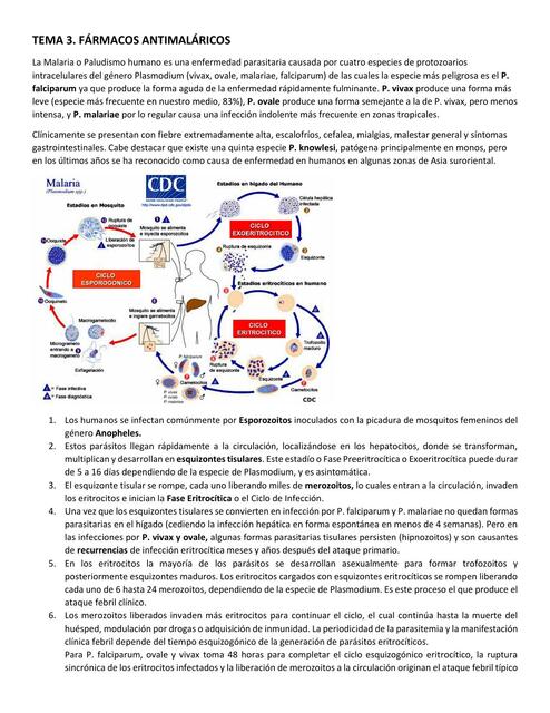 Tema 3 - antimaláricos y antituberculosos 