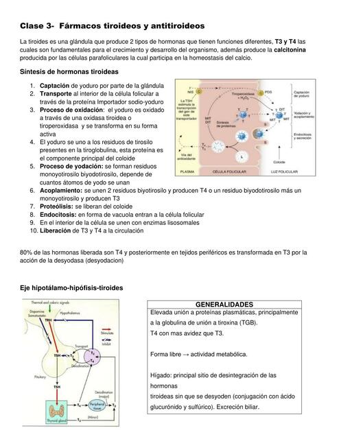 Tema 2 - tiroides y calcio 