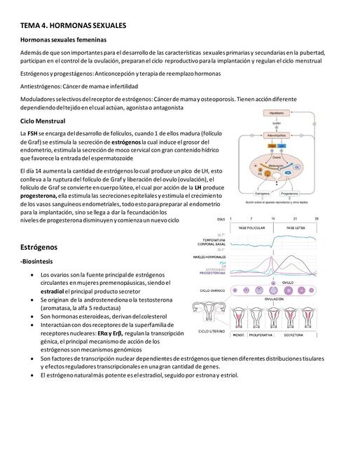 Tema 4 - hormonas sexuales