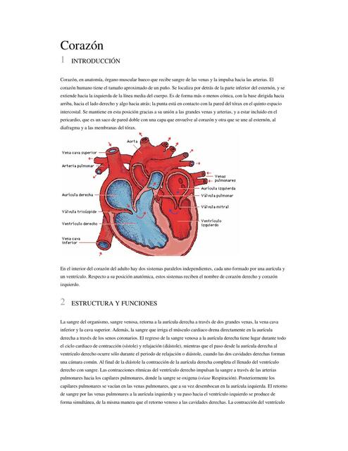 Funciones del Corazón