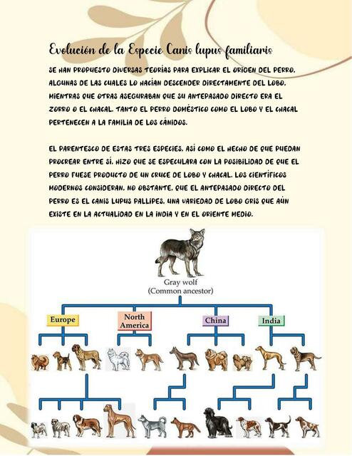 Evolución de la Especie Canis lupus familiaris | fraii | uDocz