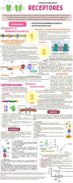 Receptores de Membrana