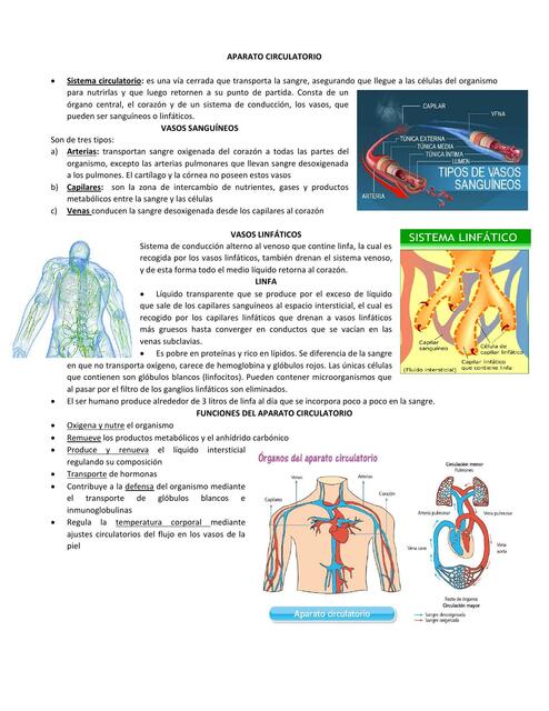 Aparato Cardiovascular 