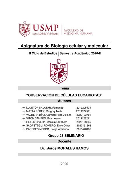 Biología - Práctica - Informe 6