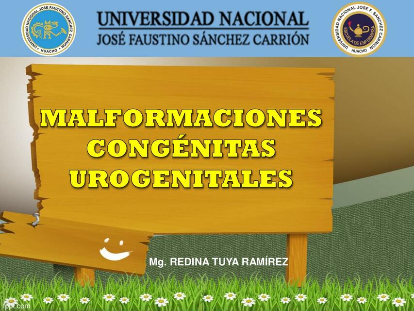 Malformaciones urogenitales I