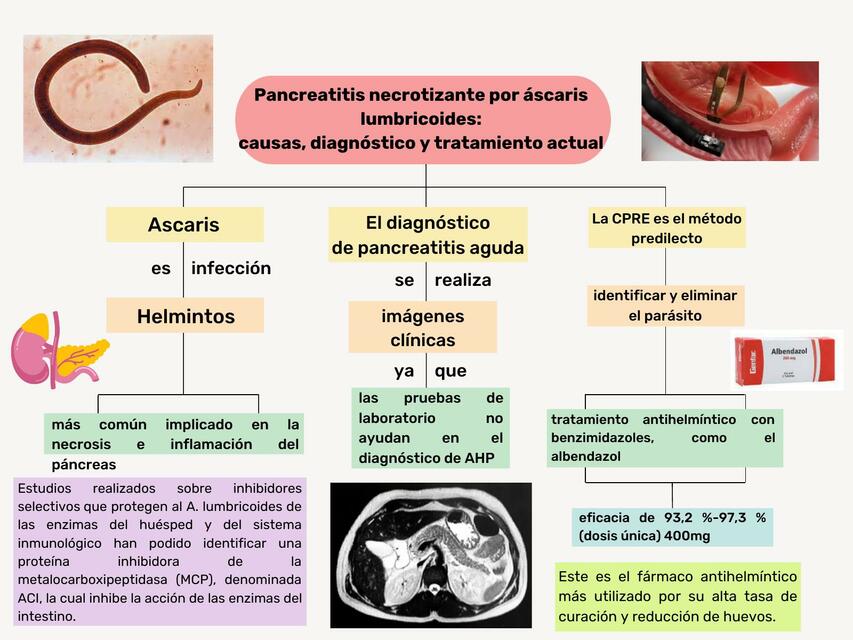 Ascaris Lumbricoides