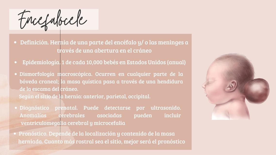 Encefalocele | Bosque | uDocz