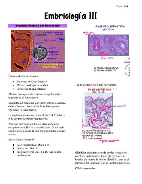 Embriología III