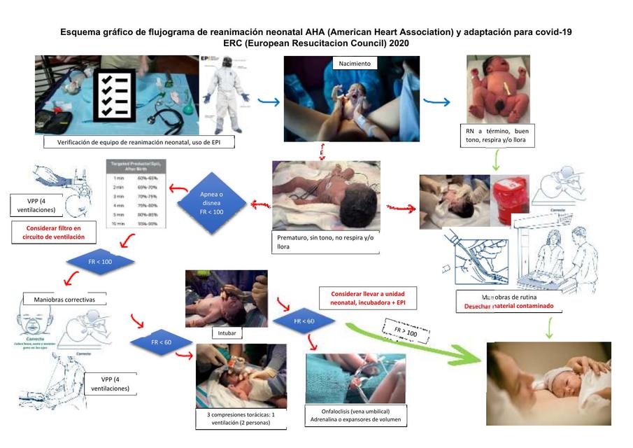 Flujograma reanimación neonatal-covid