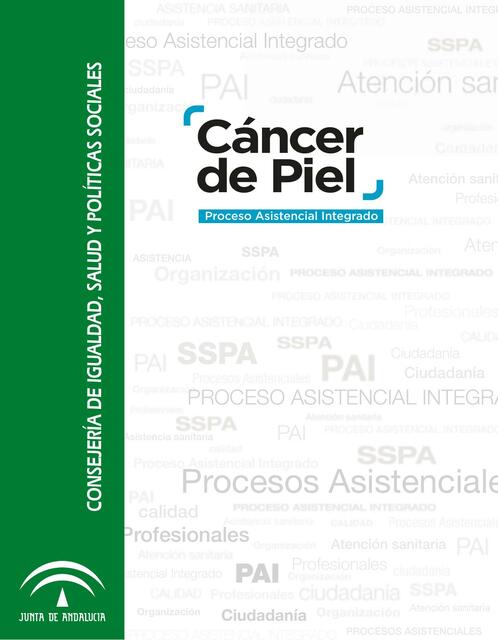 Cáncer de Piel 