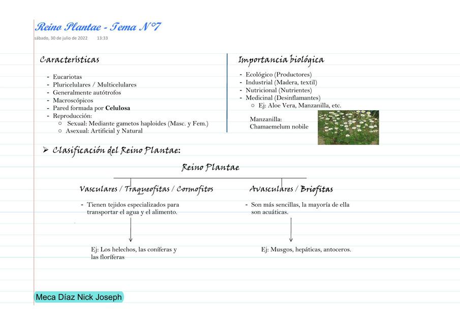 Reino Plantae avance