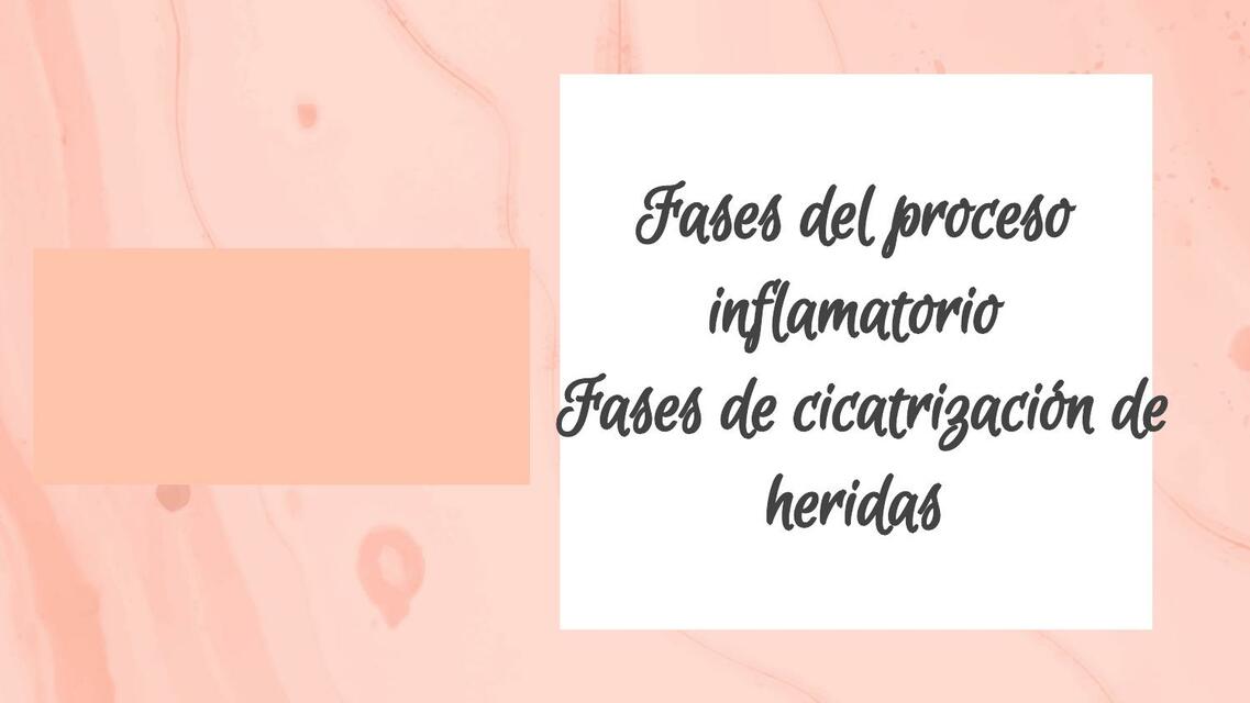 Fases del proceso inflamatorio - Fases de cicatrización