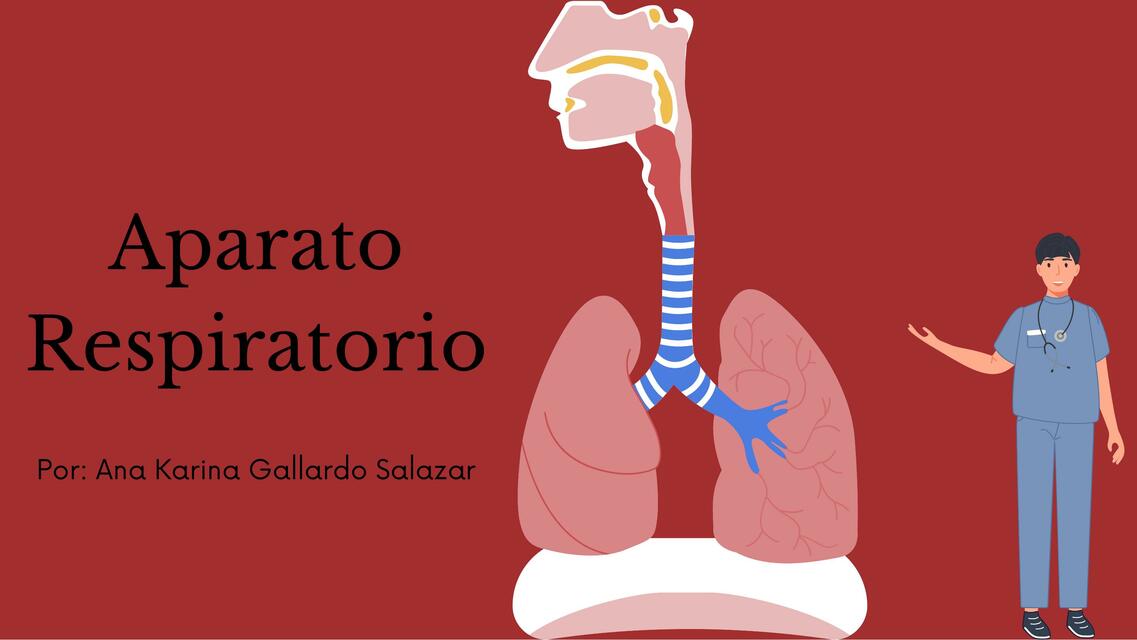 Aparato Respiratorio