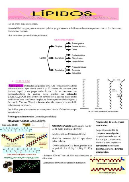 Lípidos 