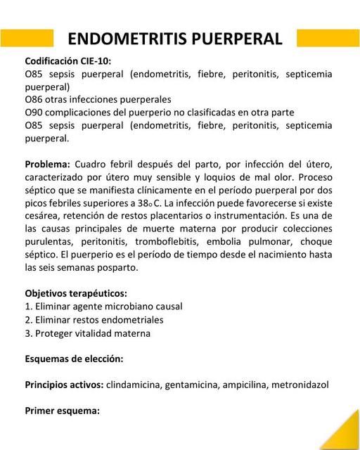 endometritis-puerperal-udocz