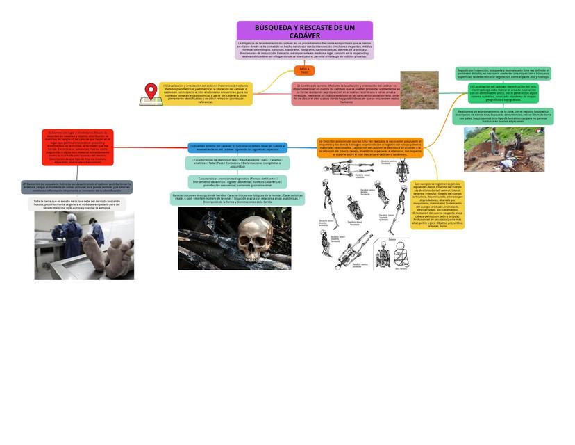B squeda Y Rescate De Un Cad ver Forensic notes UDocz b-squeda-y-rescate-de-un-cad-ver-forensic-notes-udocz