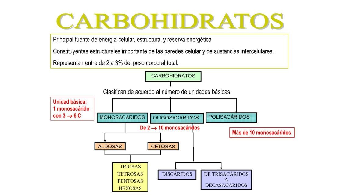 Moléculas de Carbohidratos | MEDilove | uDocz