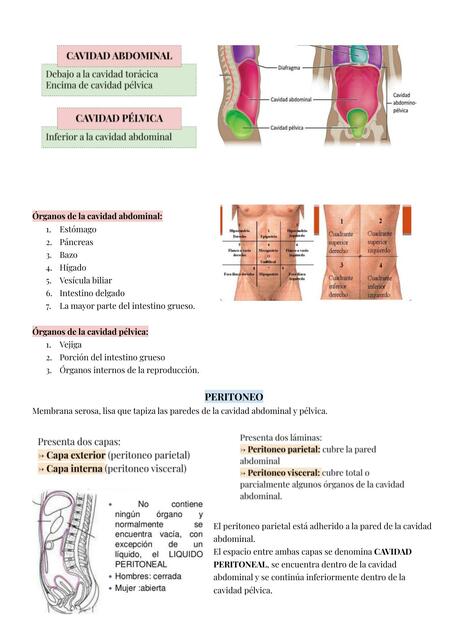 Compartimientos Peritoneales y esófago 