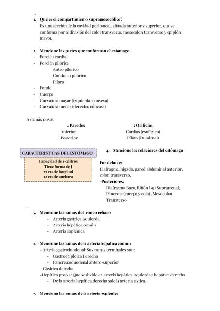 CUESTIONARIO-Órganos Supramesocólicos