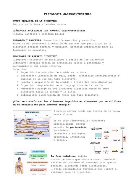 Fisiología gastrointestinal