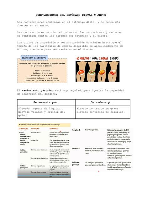 Continuación - Fisiología Gastrointestinal