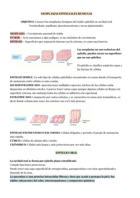 Neoplasias Epiteliales Benignas