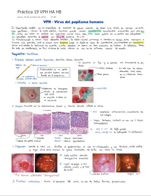 Guía VPH 