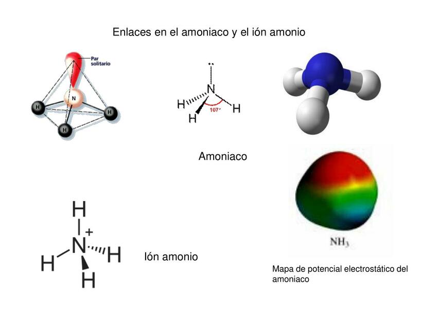 mapa de potencial electrostatico