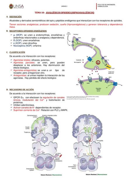 Analgésicos Opioides- Hipnoanalgésicos 