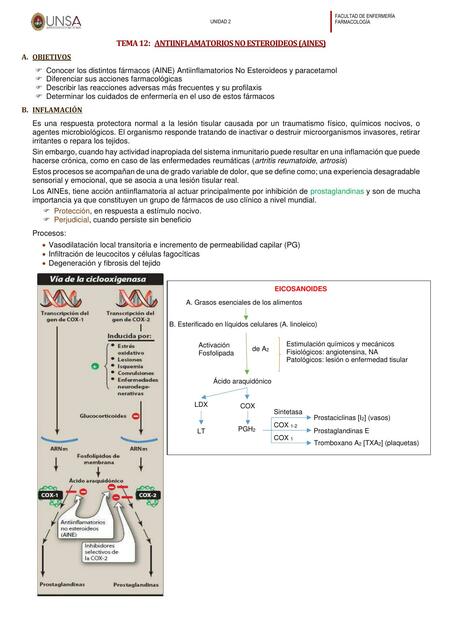 Antiinflamatorios No Esteroideos (AINES)