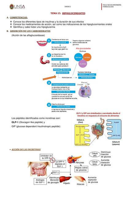 Hipoglucemiantes 