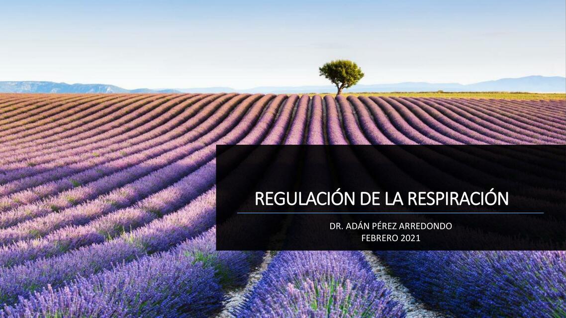 Regulación de la respiración