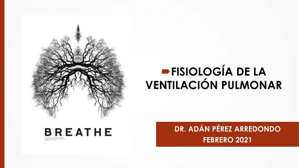 Fisiología de la ventilación pulmonar.