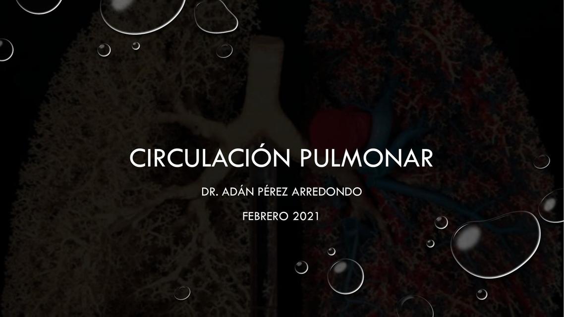 Circulación pulmonar