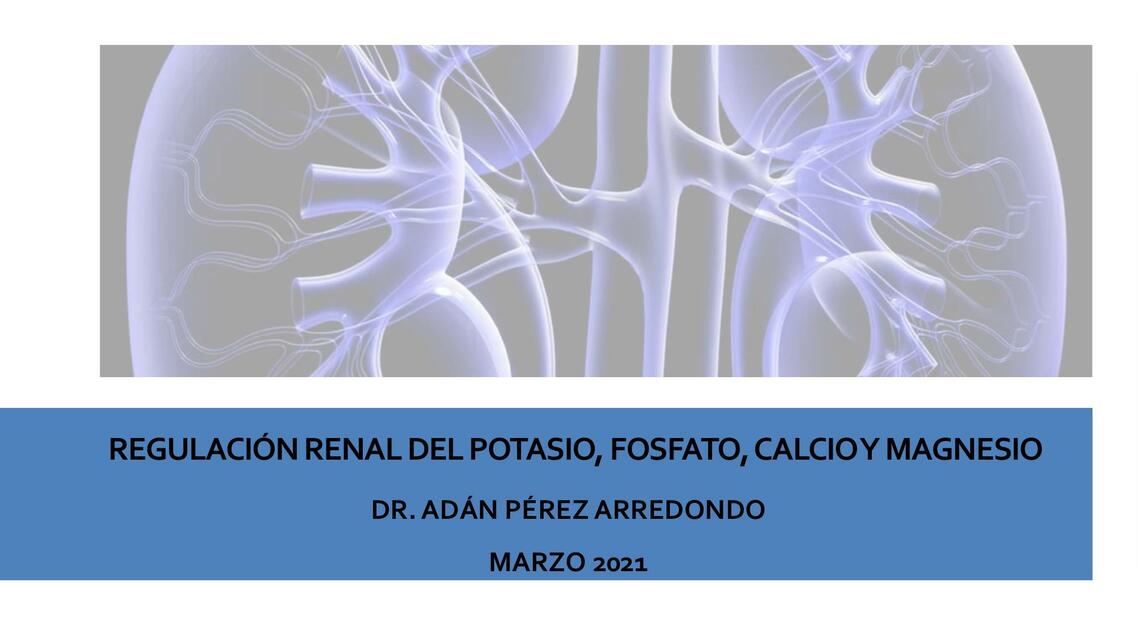 Regulación renal del potasio fosfato calcio y magnesio