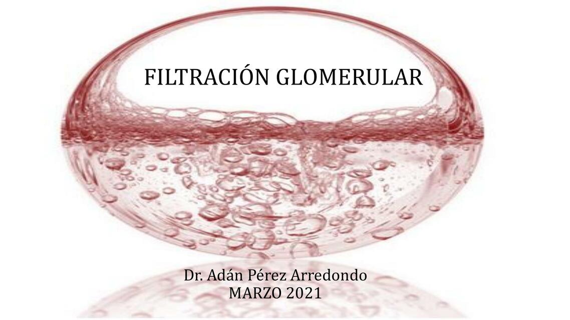 Filtracion glomerular