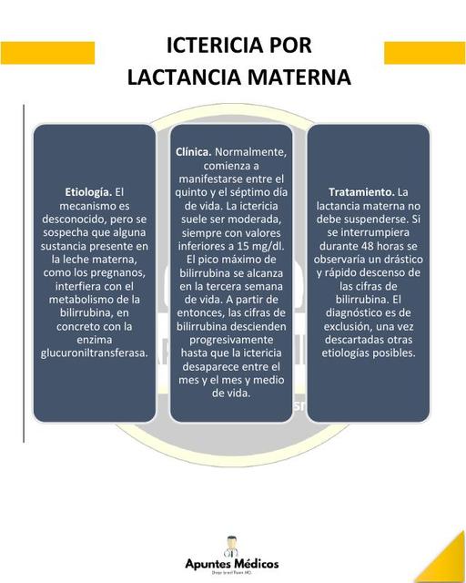 Síntomas Ictericia En Bebes Causas Lactancia Materna Bilirrubina