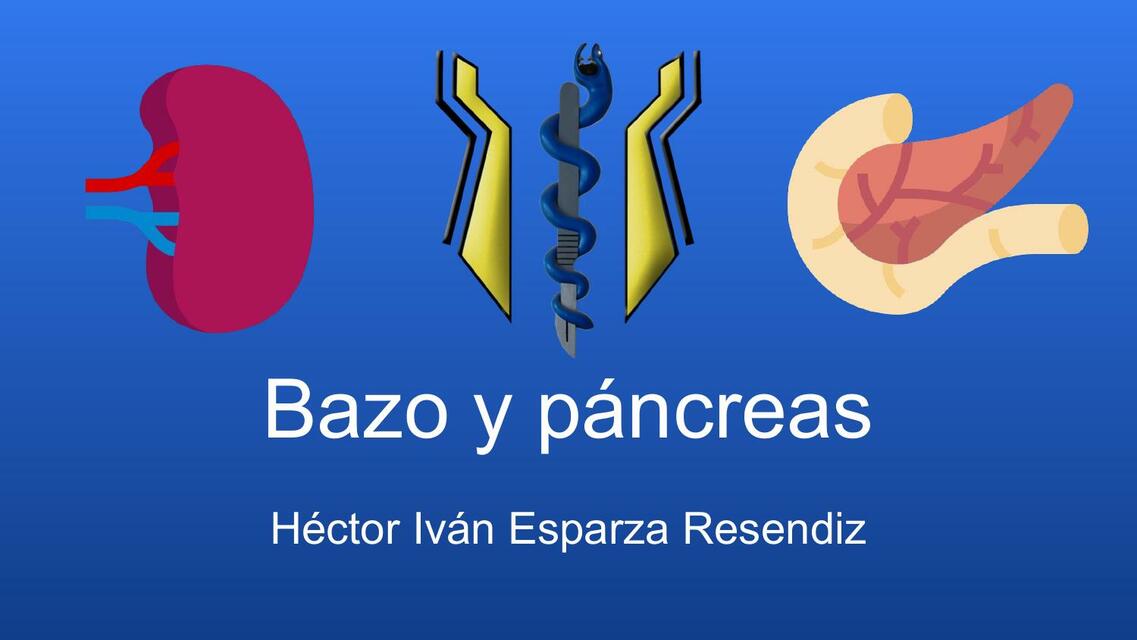 Bazo y Páncreas