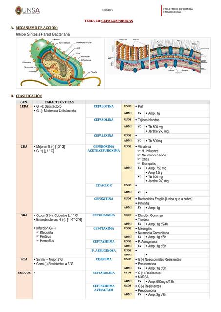 Cefalosporinas 