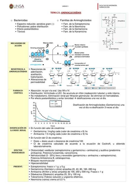 Aminoglicósidos 