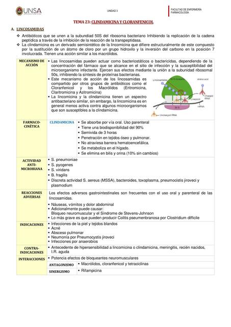 Clindamicina y Cloranfenicol 