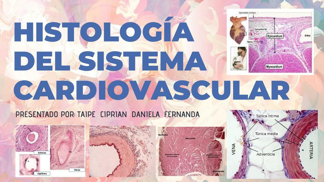 Histología del Sistema Cardiovascular 