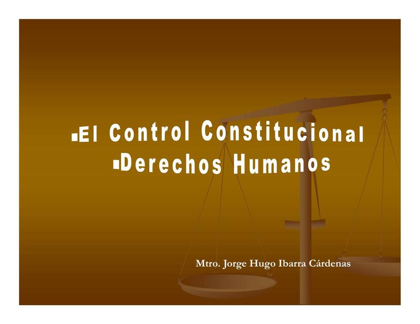 El Control Constitucional y Derechos Humanos