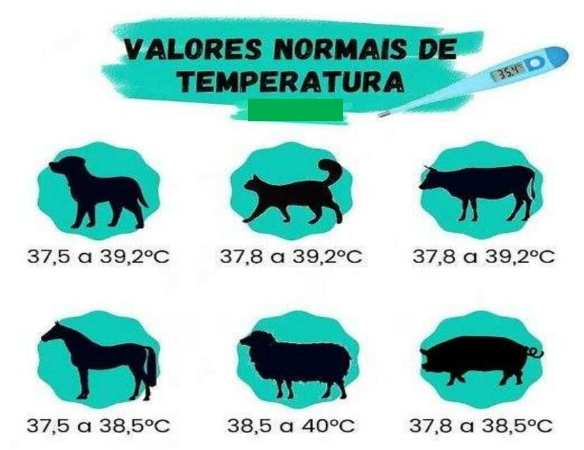 Valores normales en la temperatura en animales
