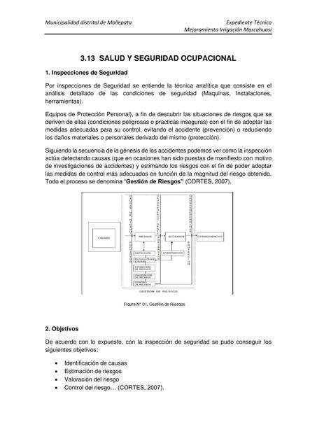 Salud y Seguridad Ocupacional 