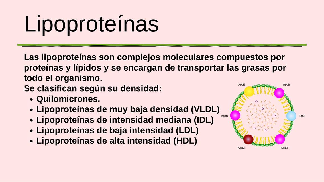 Lipoproteínas | MARYURI LISBETH | uDocz